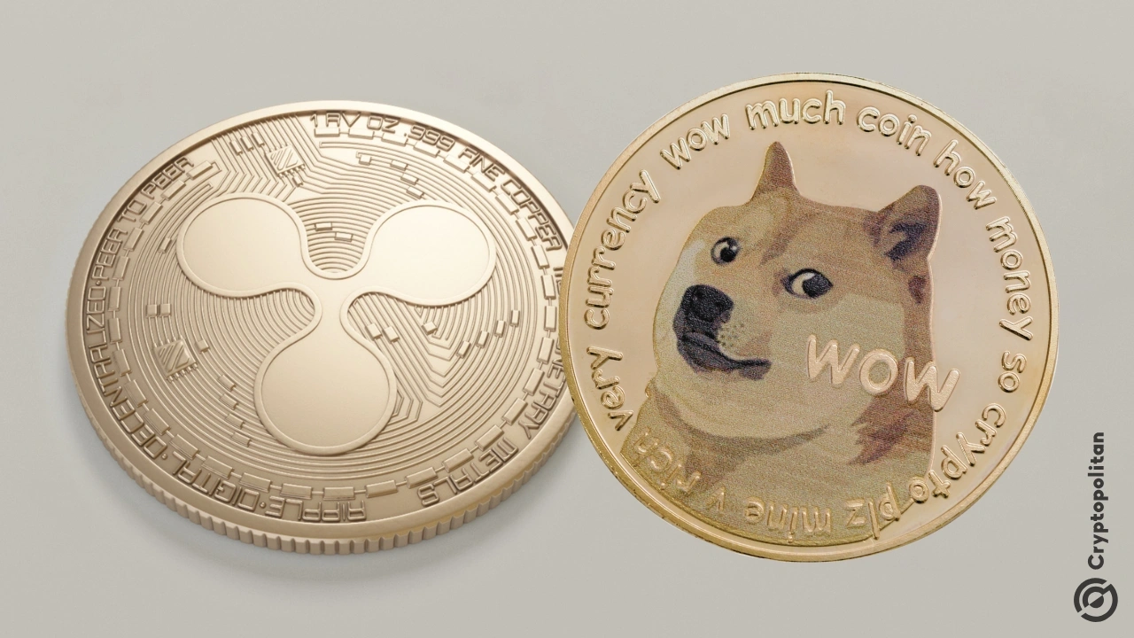 Coinbase launches its wrapped XRP and Dogecoin on Base