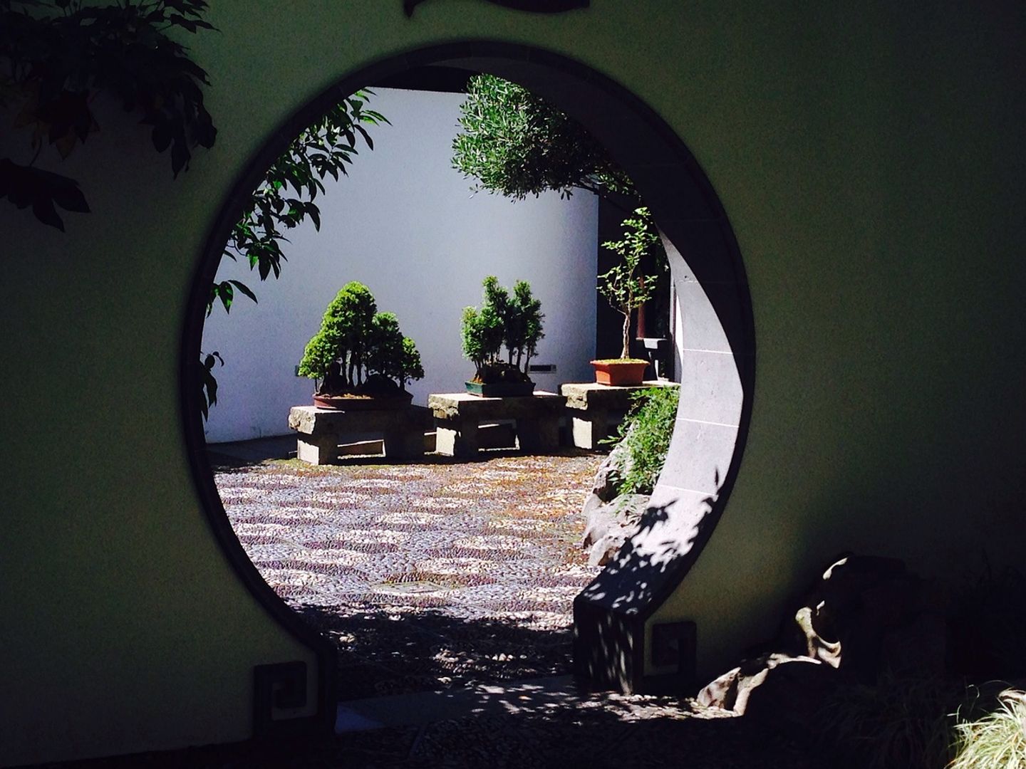 Coinbase는 XRP 및 Dogecoin 소지자의 불과의 기회를 기준으로 잠금 해제합니다.