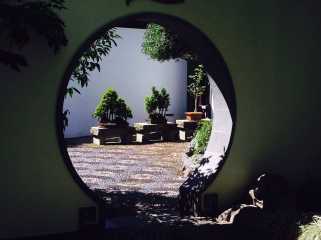 Coinbase는 XRP 및 Dogecoin 소지자의 불과의 기회를 기준으로 잠금 해제합니다.