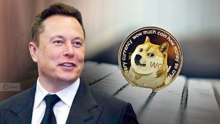 Domycin은 Musk-Trump Drama 후 회복 된 후 Bulls는 $ 0.18의 지원을 방어합니다