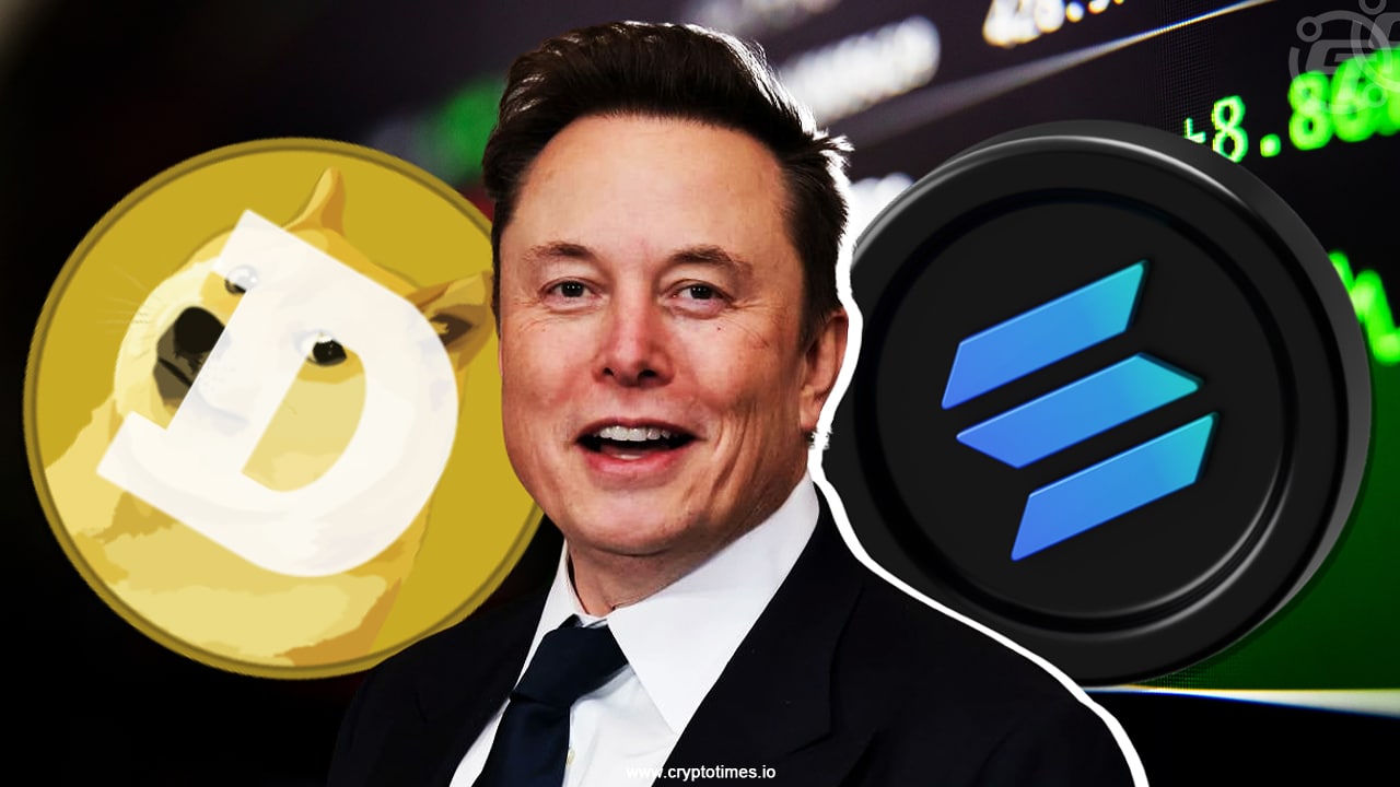 Elon Musks Hundehype wird bald zurück sein: Kryptowährungsexperte