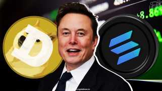 Elon Musks Hundehype wird bald zurück sein: Kryptowährungsexperte