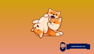 Shiba Inu가 Dogecoin의 시장 가치에 도달 할 수있는 예측 타임 라인은 다음과 같습니다.