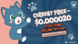 Troll Cat -Rakete mit 24 -fachen Einnahmen - stürzen in die besten Kryptowährungsrankings für Dogecoin Fighting Keyboard Cats