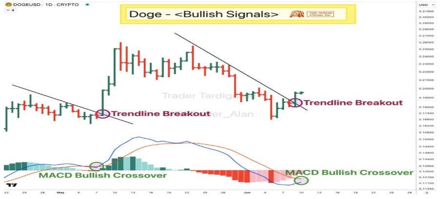 Dogecoin Nears .20 Breakout, XRP’s Global Reset Narrative Heats Up, Rival Altcoin Set To Rally From .00000035 To 
