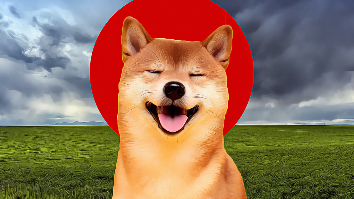 Shiba Inu vermeidet Dotecoins Schatten und steigt mit den Bewegungen großer Investoren auf