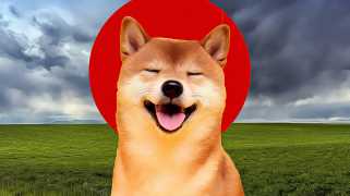 Shiba Inu vermeidet Dotecoins Schatten und steigt mit den Bewegungen großer Investoren auf