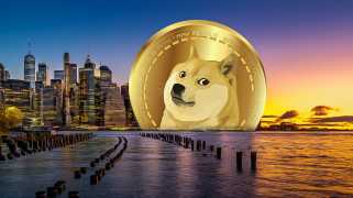 深入研究Dogecoin的动态价格变动和市场策略！
