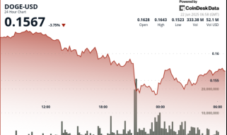 Dogecoin a chuté de 8% mais a montré une récupération en forme de V