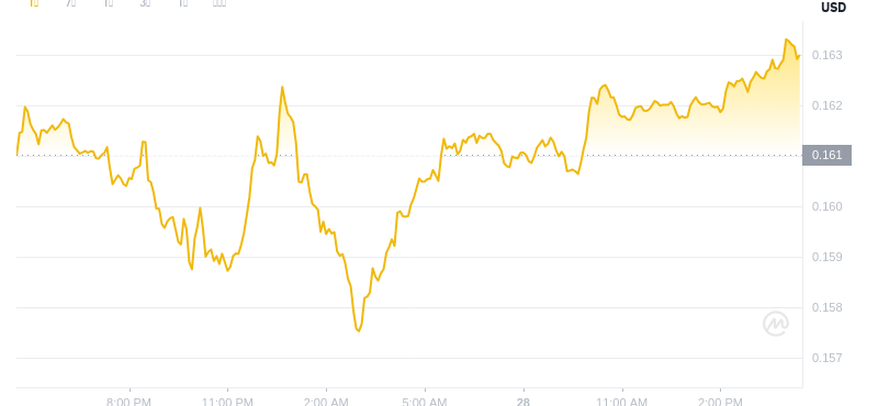 28 juin 2025, 16:00 DÉCIDENCE DÉCIDENT DOGECOIN