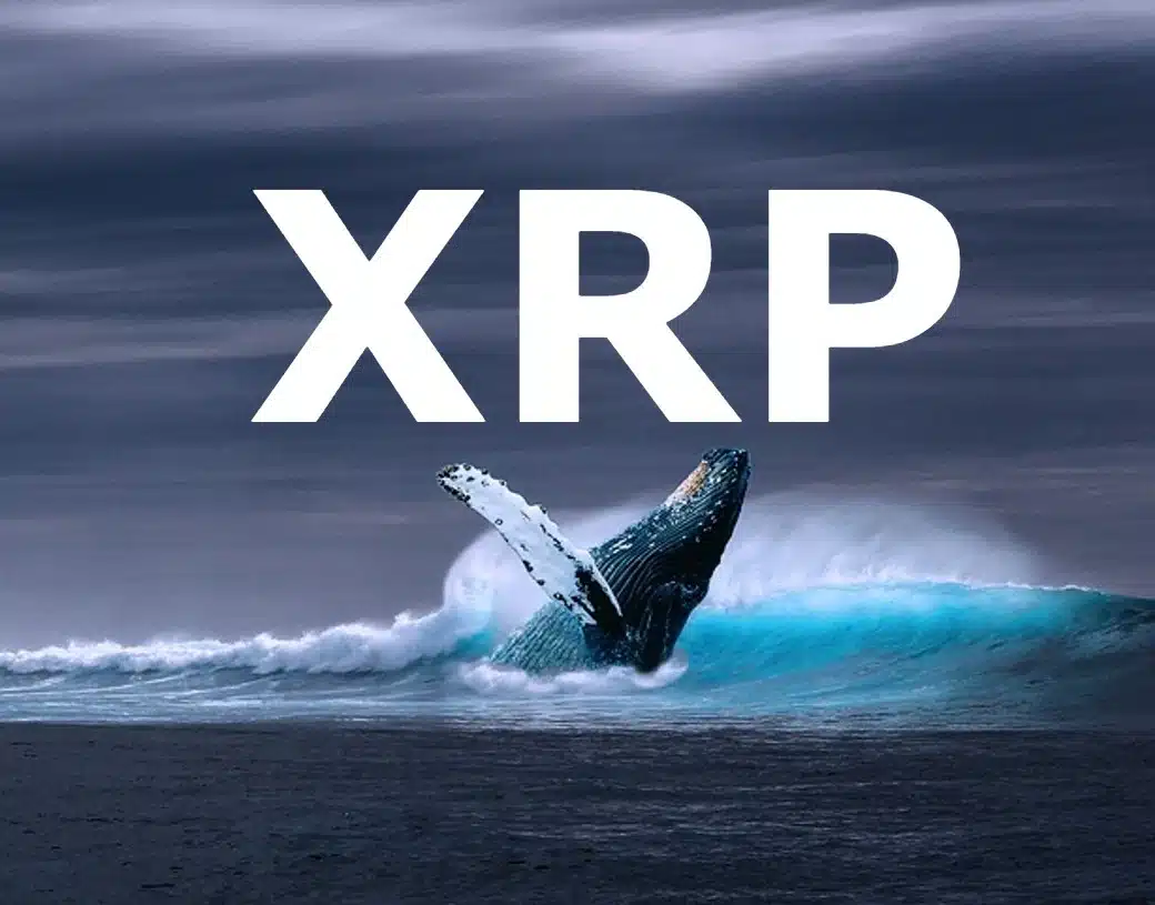 50,000,000 XRP昏迷社区 - 发生了什么事？