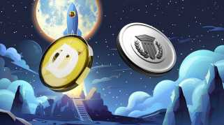 这个加密可以在前10名中加入Dogecoin（Doge）