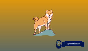 Après la percée, le prix de Dogecoin (DOGE) 