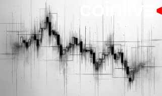 Dedodomycin steigt nach der Bildung von Hammerkerzen