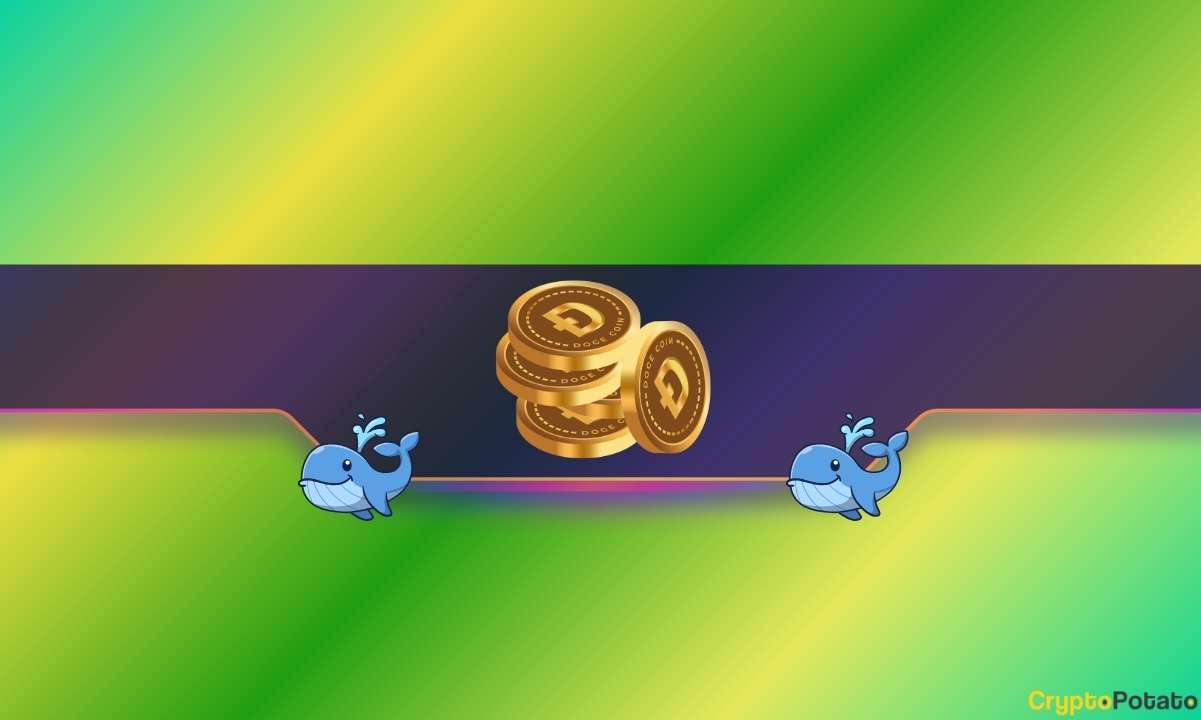 Doge Price Ship zu 2 Monaten hoch: Wie bullisch sind Wale und Händler?