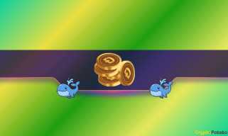 Doge Price Ship zu 2 Monaten hoch: Wie bullisch sind Wale und Händler?