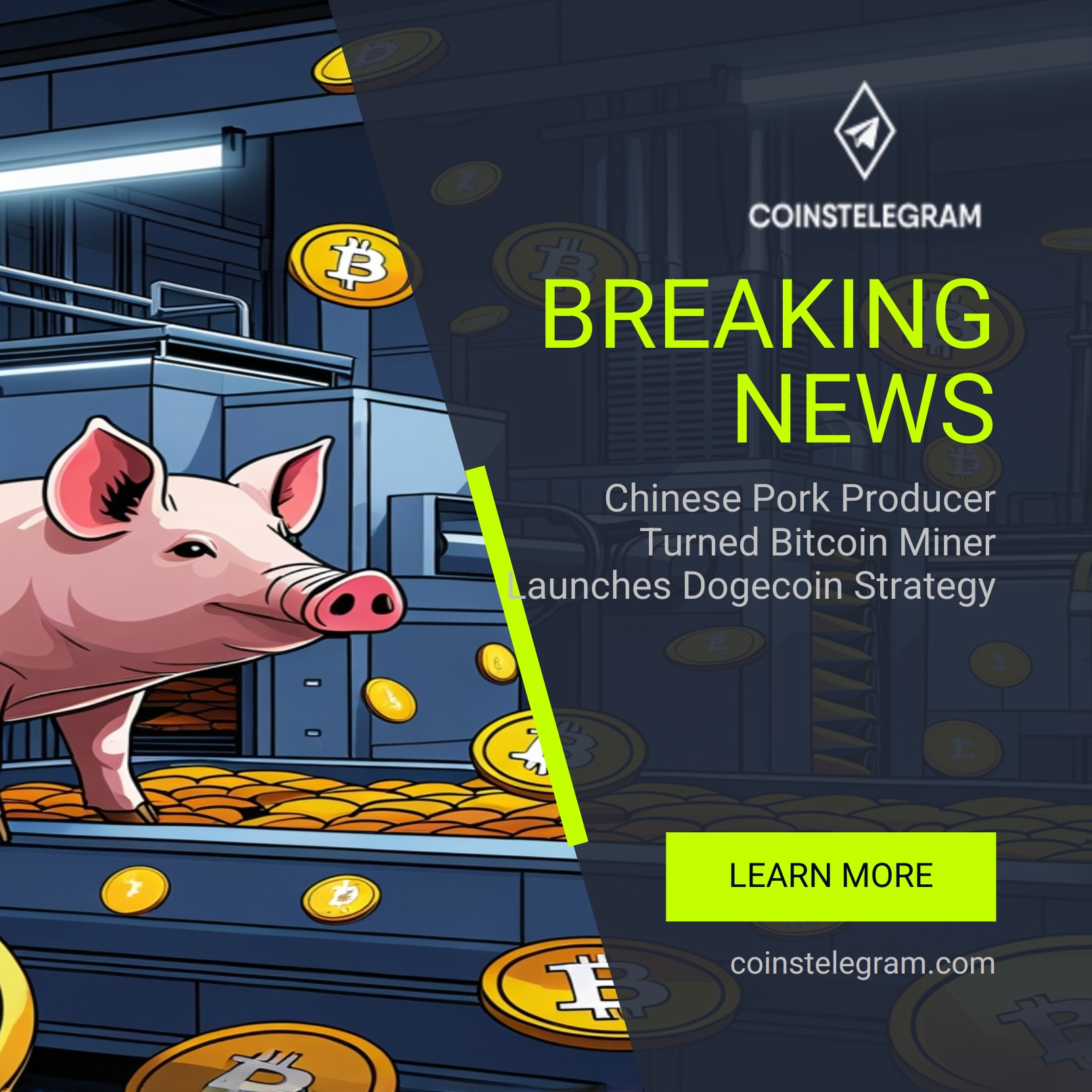 中国猪肉生产商变成比特币矿工发起狗狗币策略