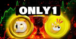 DOGE VS BONK - 2025 Crypto Memecoin -Gewinner?