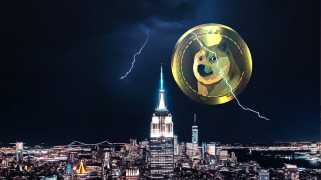 潜入Dogecoin的过山车：分析最近的市场动态