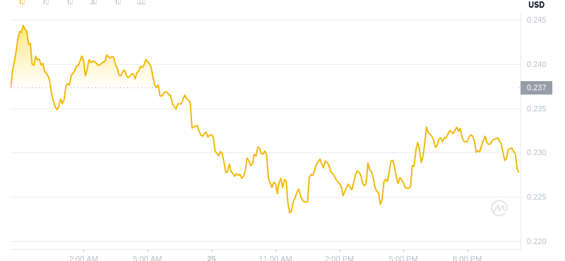 25 juillet 2025, 22:00 DÉCIDENCE DÉCIDENT DOGECOIN