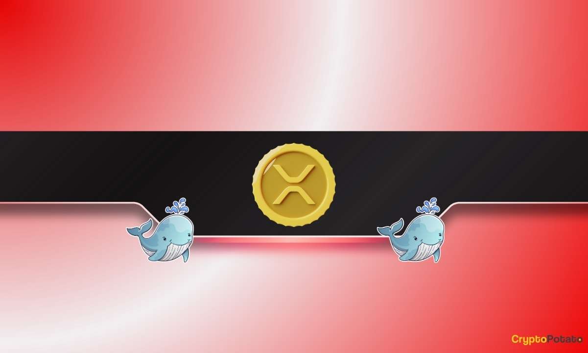 Whale kaufte die XRP -Neigung und DOGE trifft die wichtigste Akkumulationszone: Details