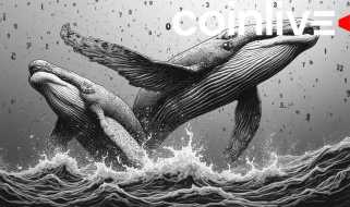 XRP和Doge Sparks市场兴趣的鲸鱼积累