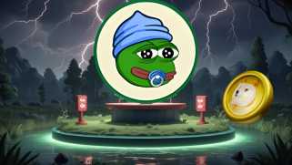 DoGECONE peut être au prix de 1 $, mais cette alternative peu coûteuse offre de meilleurs risques - 2025 revient