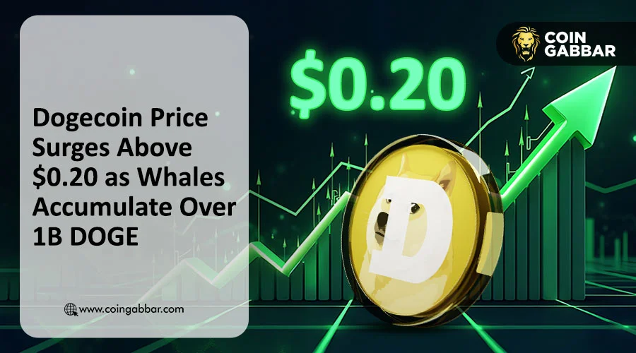 随着鲸鱼购买超过1B的门，狗少蛋跃升了$ 0.20