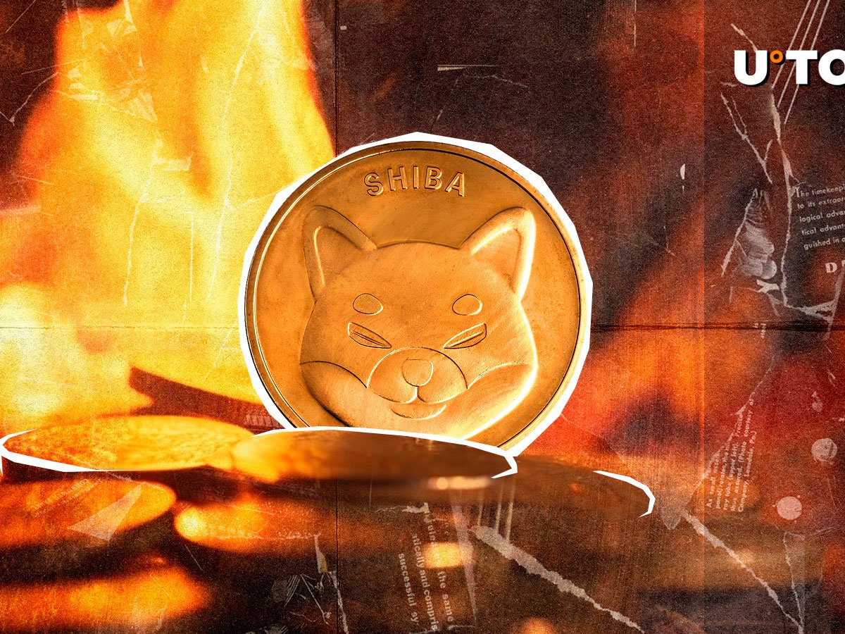 Eine brandneue Art, nasse Haut zu verbrennen