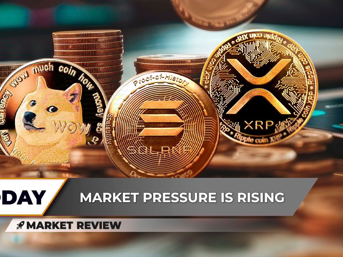 XRP dessine des différences clés, Dog (DOGE): Dernière chance, rallye explosif de Solana (Sol)?
