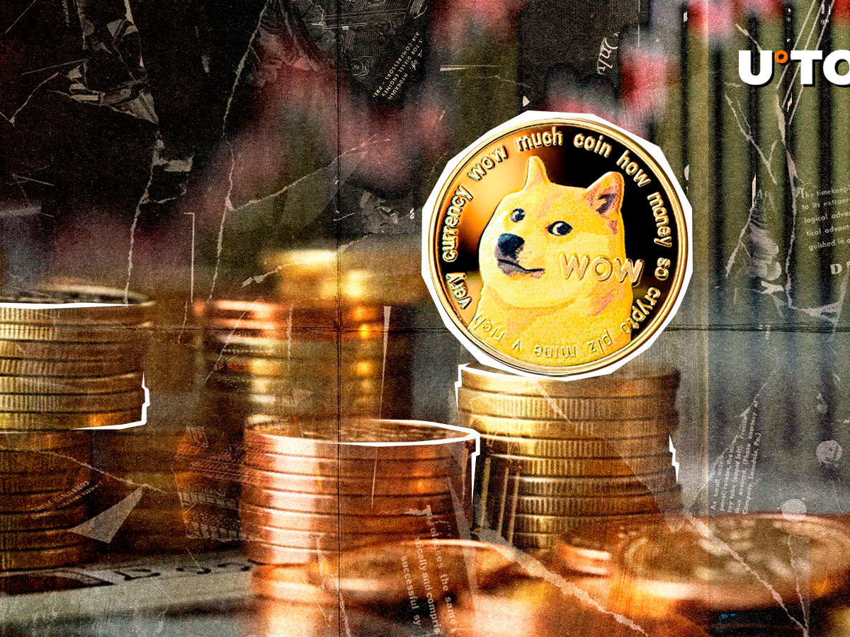 DogEcoin -Taschen mit 343.069% Liquidation Ungleichgewicht, wird der Preis folgen?