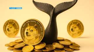 大鲸鱼将Dogecoin推入V形集会
