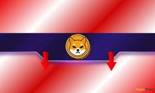 Diese Messung von INU (SHIB) fiel auf mehrere Monats -Tiefs: Mehr Schmerzen in der Zukunft?