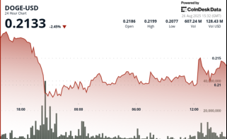 Dogecoin wird trotz des Walübergangs auf 21 Cent springen