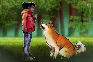 Dotecoin -Wale sind aus dem Risiko geringer, der Doge -Preis besteht aus einer Reduzierung von 45%.