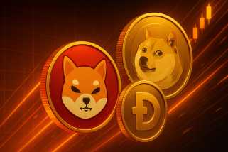 Der Grund dafür ist, dass die Preise von Shiba Inu und Dogecoin sinken, wenn neue ICOS Rekorde im Kryptowährungsraum aufstellen