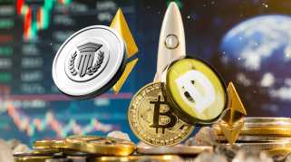 DogEcoin (DOGE) 5% Absturzfunkenwal -Spins zur Trendverschlüsselung Mutuumfinanzierung (MUTM)