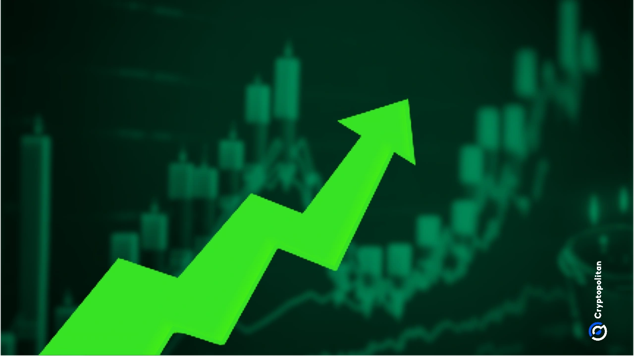 Der Krypto -Markt Eye erweitert den Bullenläuf