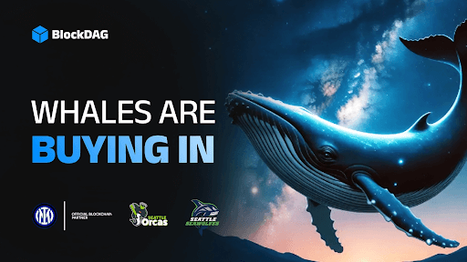 Top 3 Kryptowährungen bewegen sich im Jahr 2025: 1,7 Mrd. US