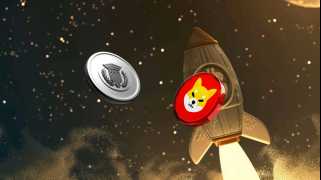 Kann Shiba Inu (Shib) DogEcoin (Doge) umdrehen? Diese 0,035 US -Dollar haben möglicherweise eine bessere Chance