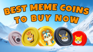 Meme Coin Presal Summen: Warum Analysten diese 5 Top -Kryptowährungen im Moment beobachten