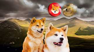Dogecoin glaubt beispiellose Marktaktion