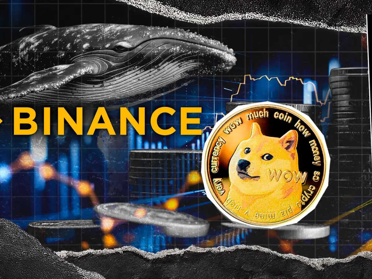 10.366.683 Doges basieren auf Binärer, weil Dogecoin Whale Turnem Meme Coin Bull