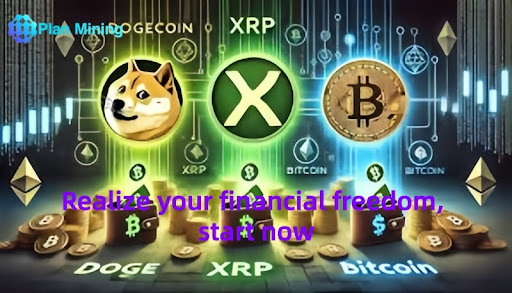 XRP & DOGE: PlanMining’s Step-by-Step Guide to Crypto Success