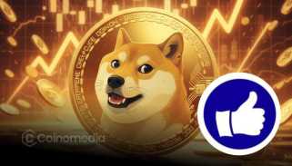 Thumzup Adds $2M in Dogecoin to Reserves