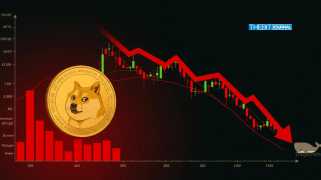 Dogecoin Whales Dump $181M as the Price Drops 13%: Can DOGE Recover?