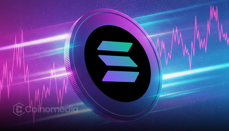 Solana Exec Says DATs Will Compete to Grow Ecosystem