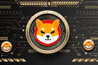 Shiba Inu Crypto News: Dogecoin Price Prediction & Remittix Closes In On 40,000 Holders In Viral Presale