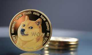 Dogecoin (DOGE) Rally Lacks Retail Mania – And That Might Be Bullish