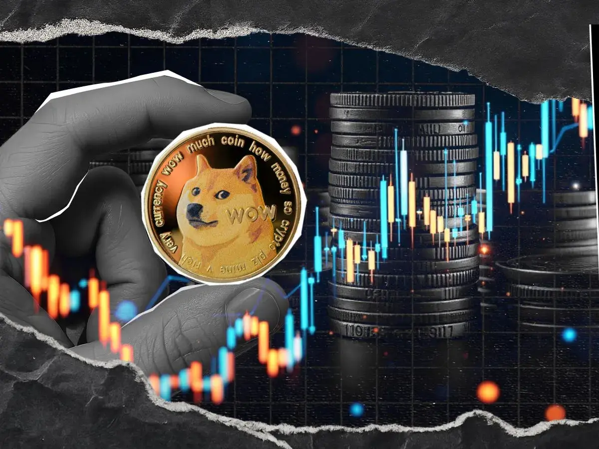 What's Next for DOGE? Director Issues Plans for Enhanced Dogecoin Utility